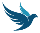 Avrupa.Net.Tr
